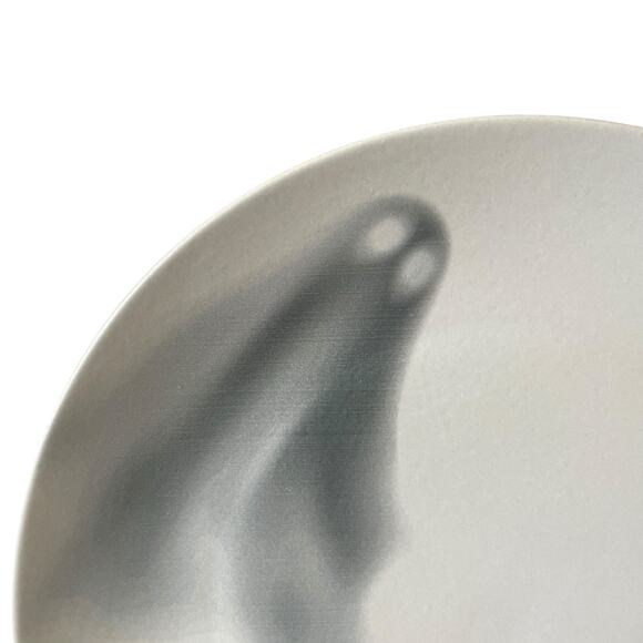 (4) Grammercy Studio Halloween Ghost Dinner Plates 10.5in Matte White Black BOO - Picture 3 of 10